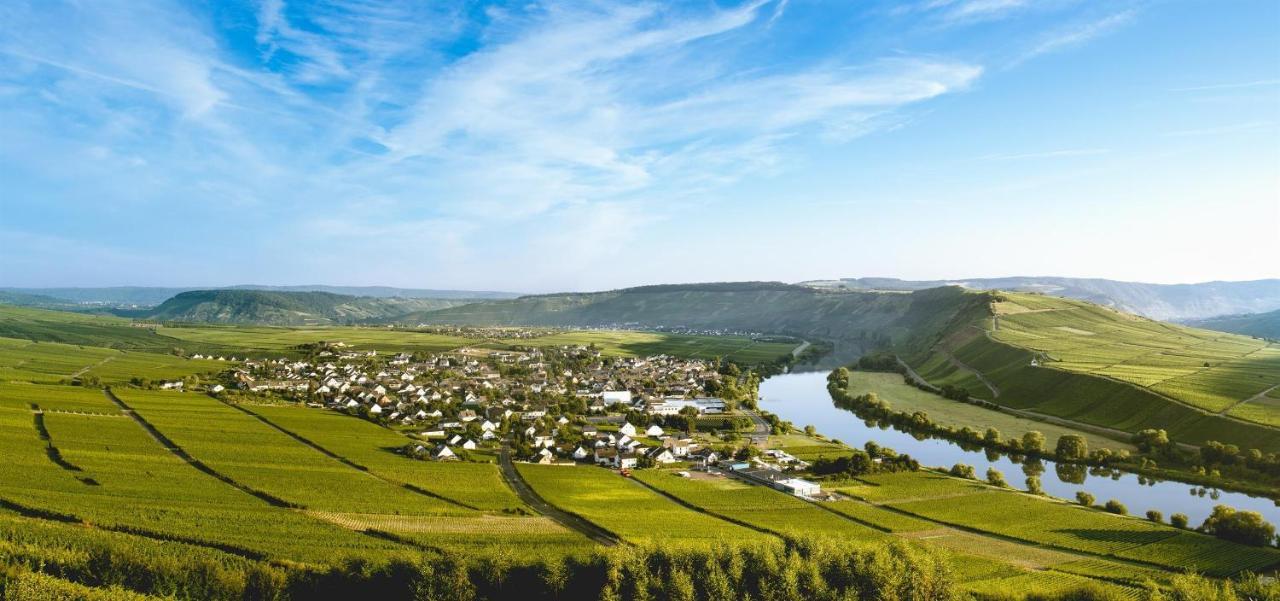 ライヴェンFerienweingut Ulrike Thulアパートメント エクステリア 写真