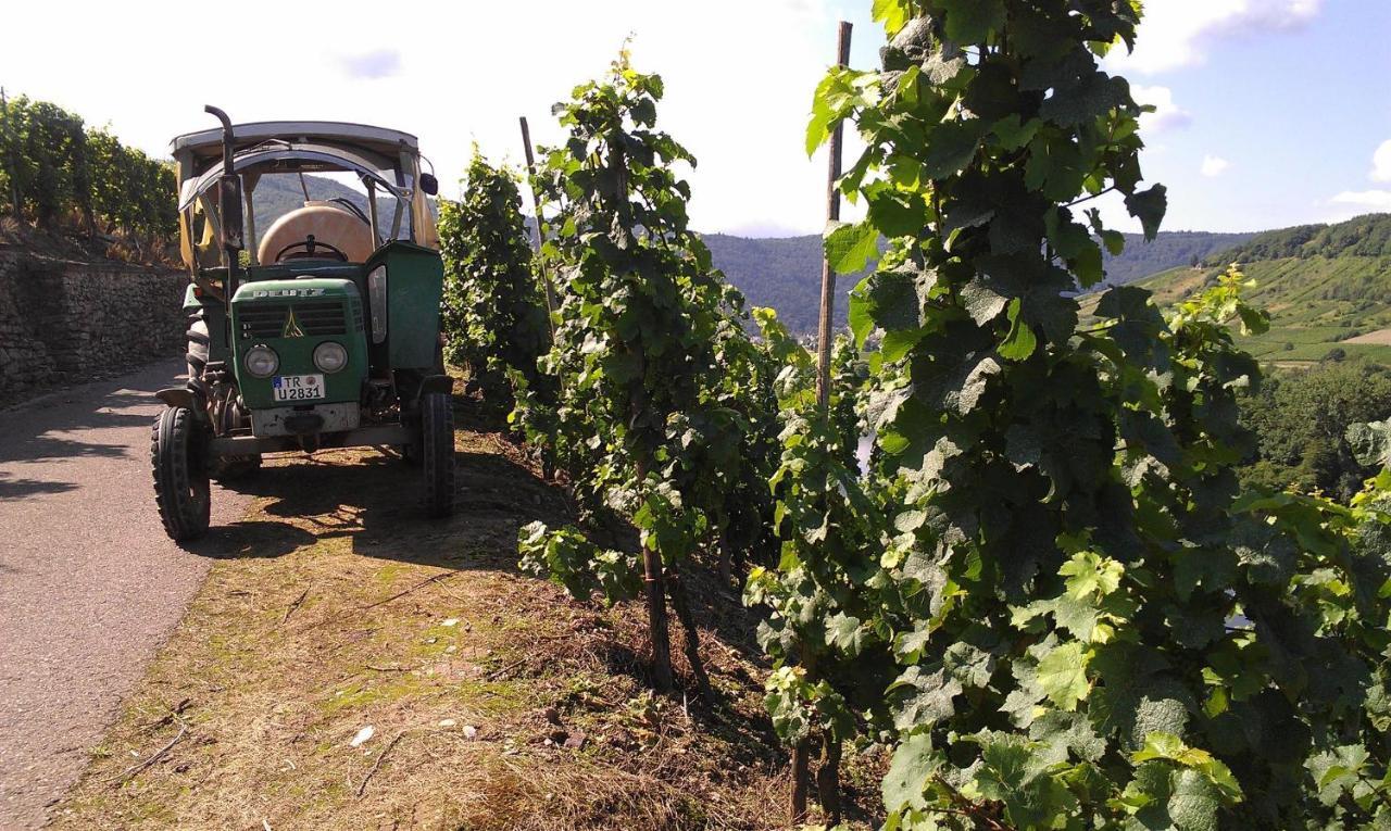 ライヴェンFerienweingut Ulrike Thulアパートメント エクステリア 写真