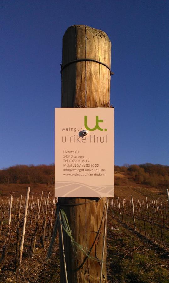 ライヴェンFerienweingut Ulrike Thulアパートメント エクステリア 写真