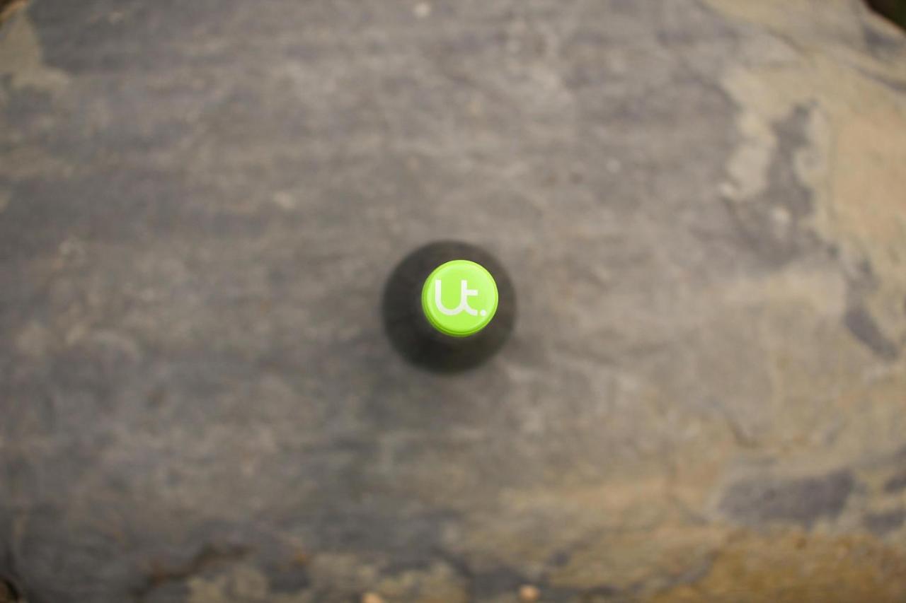 ライヴェンFerienweingut Ulrike Thulアパートメント エクステリア 写真